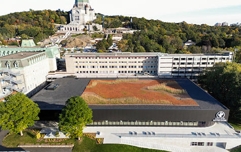 Toitures Alto Toiture végétale Sud-Ouest